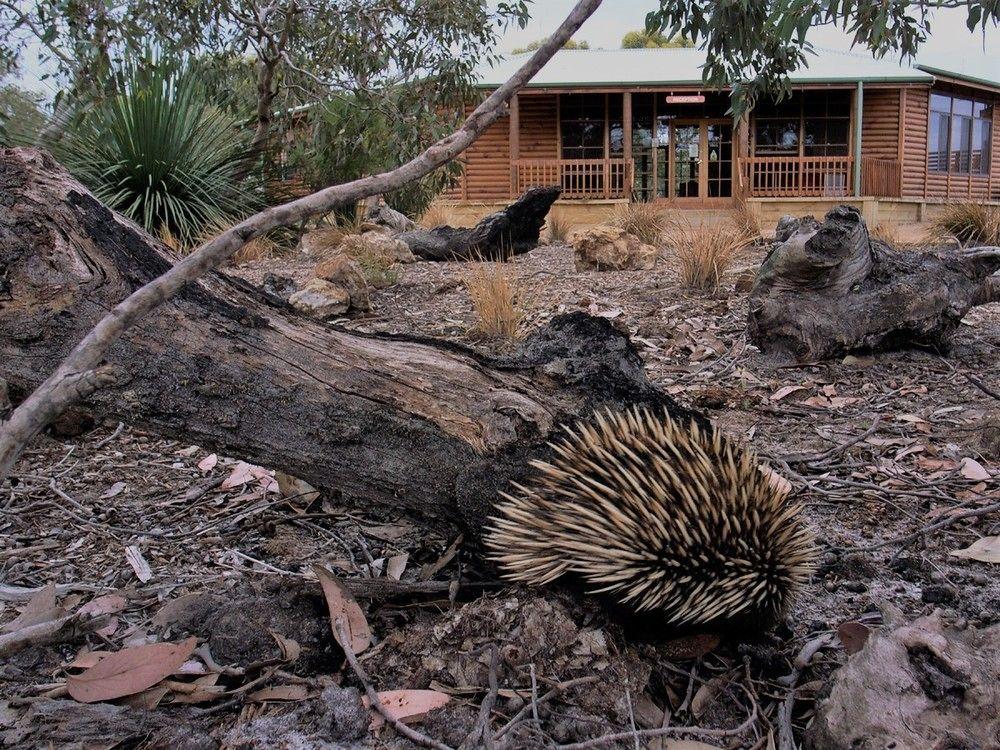 Kangaroo Island Wilderness Retreat Flinders Chase Exterior photo