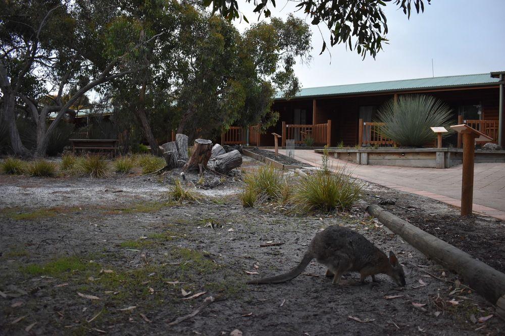 Kangaroo Island Wilderness Retreat Flinders Chase Exterior photo