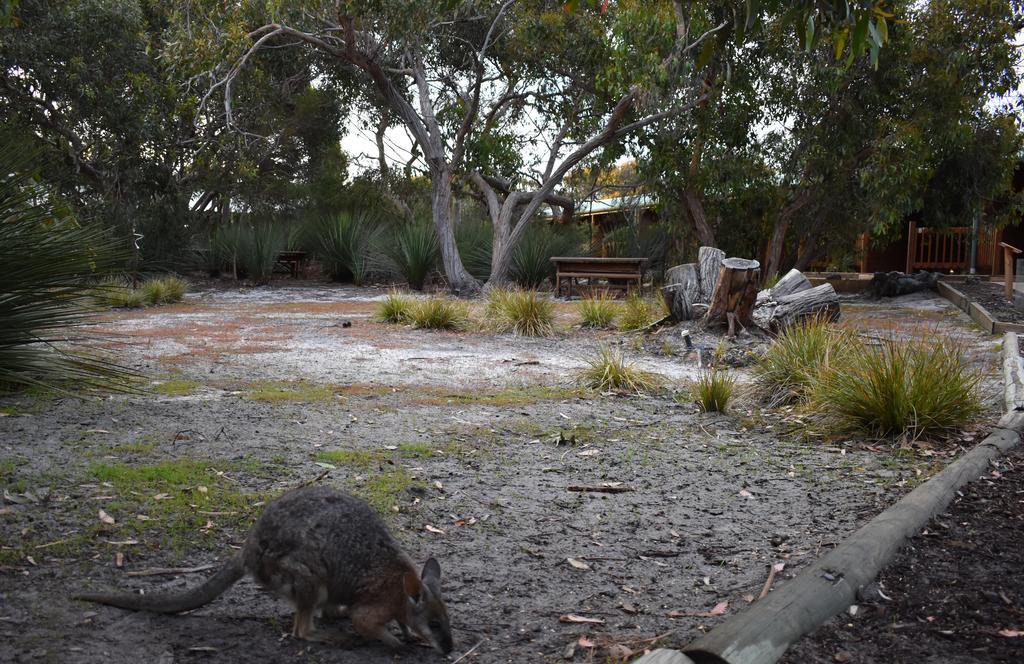Kangaroo Island Wilderness Retreat Flinders Chase Exterior photo